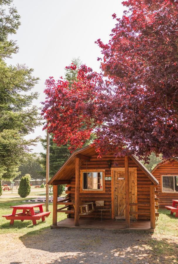 Redwood Coast Cabins And Rv Resort Eureka Exteriör bild